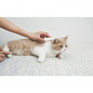 PETKIP47